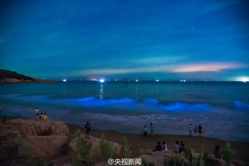 万词王